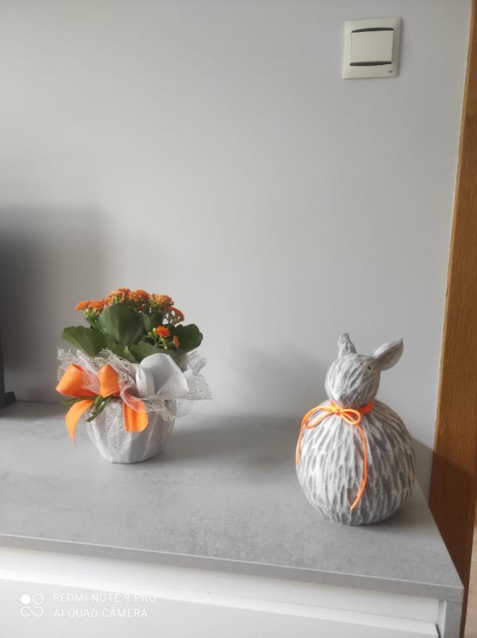 Apartamento En Malpica Costa Da Morte Buitenkant foto
